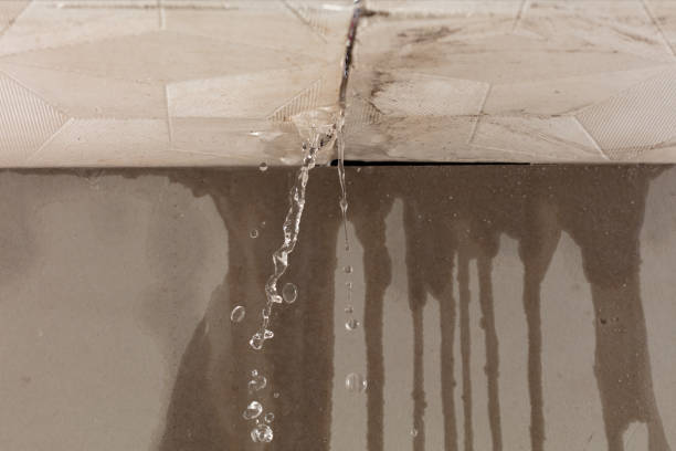 Professional Structural Drying technician working in Pleasant City, OH